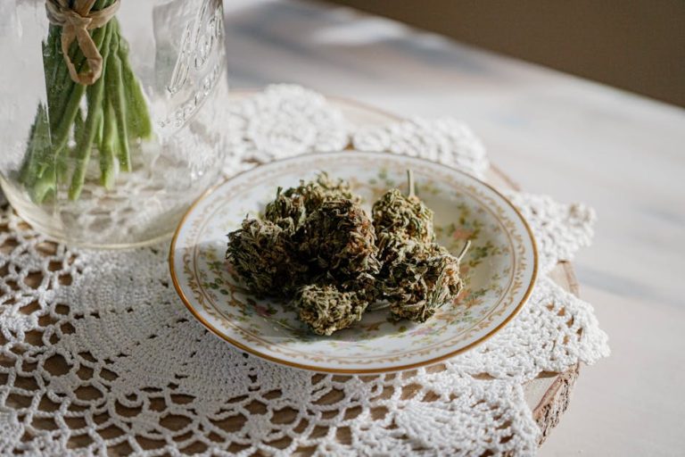 Your One‑Stop Guide to Buying Cannabis in Bern, Switzerland