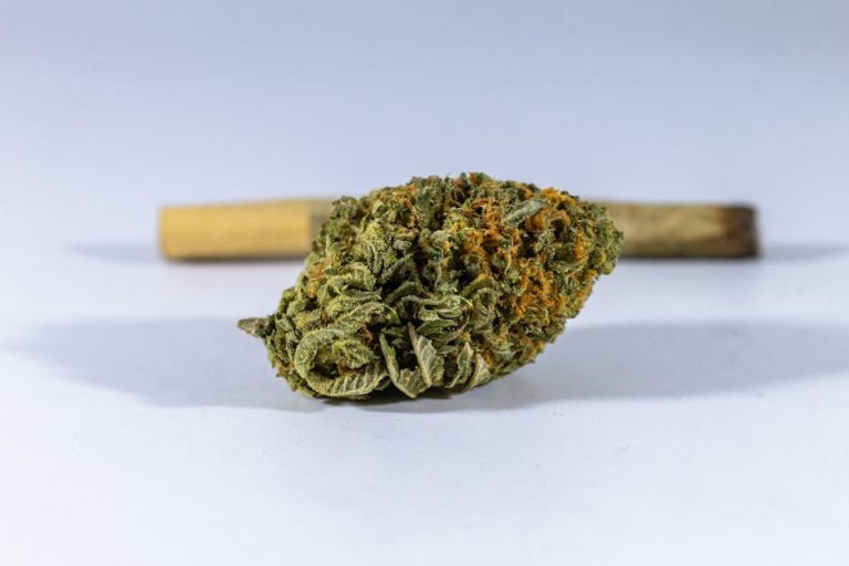 Welcome to the premier 420 shop in Timisoara – your one‑stop cannabis boutique