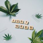 Looking for a reliable weed shop Salzburg that offers a wide range of cannabis products? img-1130.jpg