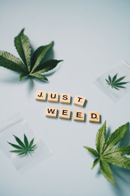 Looking for a reliable weed shop Salzburg that offers a wide range of cannabis products?
