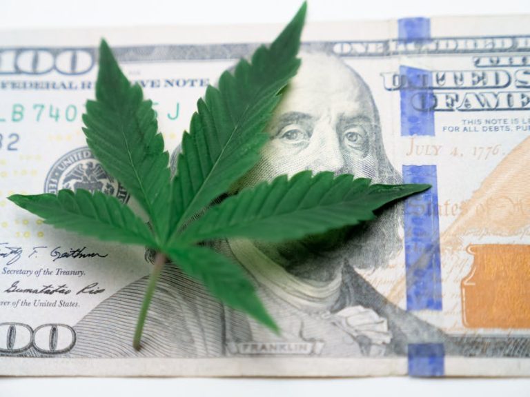 Buy THC‑Rich Marijuana in Romania – Online Dispensary
