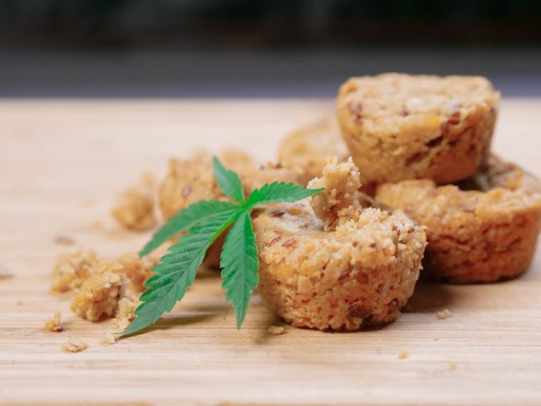 Looking for a reliable Gdansk cannabis shop that offers a wide range of high‑quality products at affordable prices?