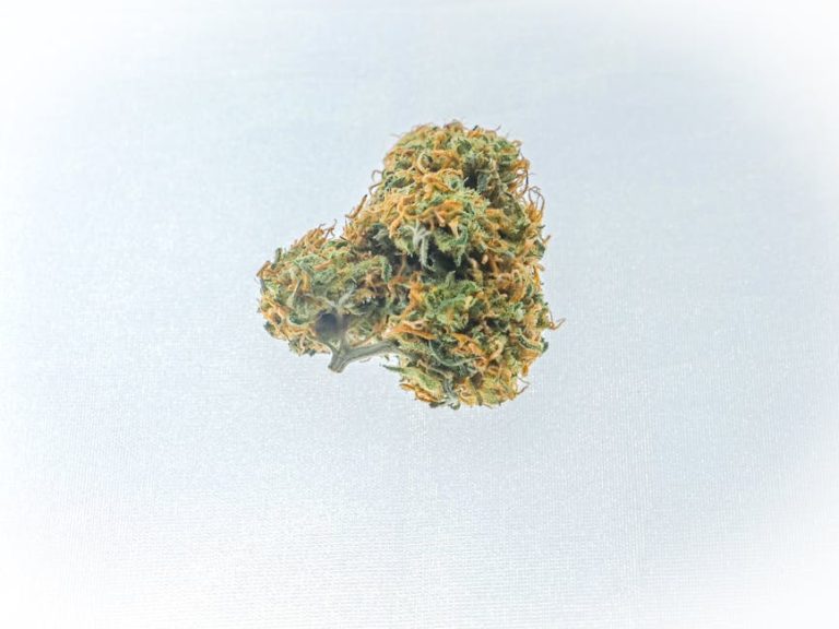Welcome to the premier weblike dispensary for Cannabis enthusiasts in Bremen, Germany