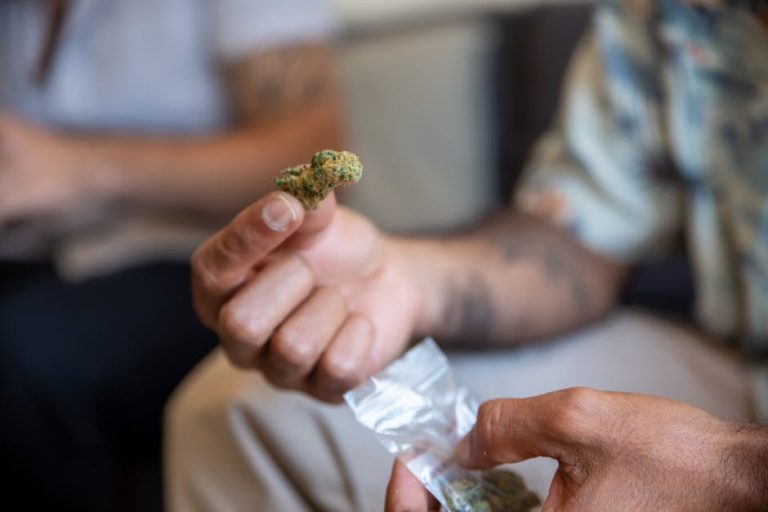 Sofia Cannabis Shop The Heart of the Legal Cannabis Market in the Balkans
