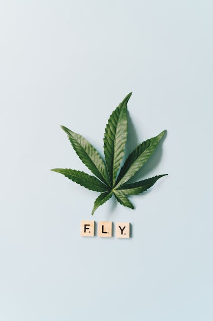 Cannabis Delivery in Bern