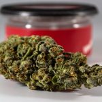 Reliable Weed Delivery Service in Karlovy Vary img-1483.jpg
