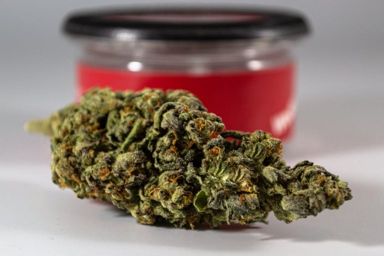 Reliable Weed Delivery Service in Karlovy Vary