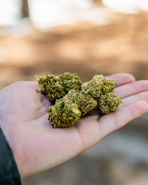 Stuttgart Cannabis Shop