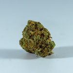 Welcome to the premier cannabis shop in Kosice, Slovakia img-1676.jpg