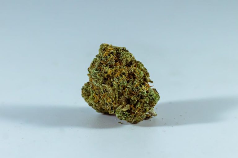 Welcome to the premier cannabis shop in Kosice, Slovakia