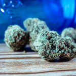 Looking to purchase high‑quality THC‑rich cannabis in the heart of Italy? img-1677.jpg