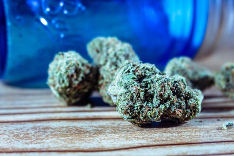 Looking to purchase high‑quality THC‑rich cannabis in the heart of Italy?