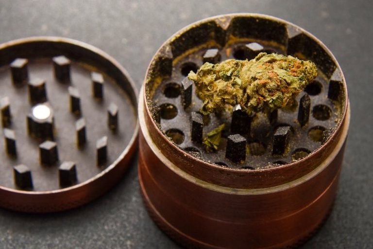 Cannabis Delivery in the Czech Republic
