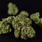Lithuania’s Premier Online Dispensary img-1755.jpg