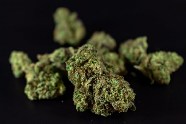 Lithuania’s Premier Online Dispensary