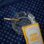 Cardiff Cannabis Shop img-1840.jpg