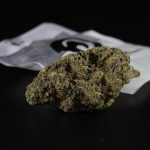 Belgrade Weed Shop img-1921.jpg