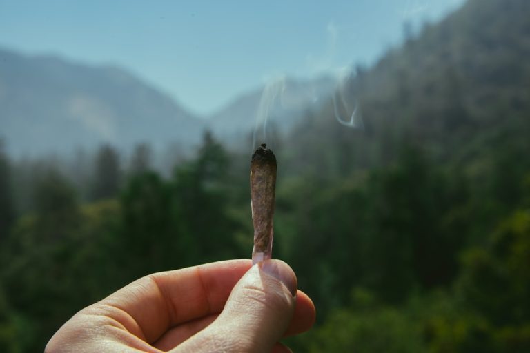 Welcome to the premier cannabis shop in Düsseldorf