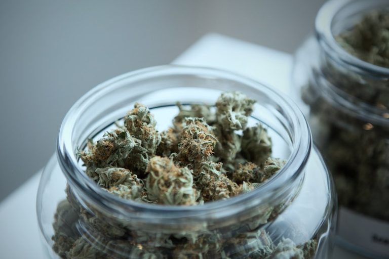 Looking for a reliable source of high‑quality cannabis in Mannheim
