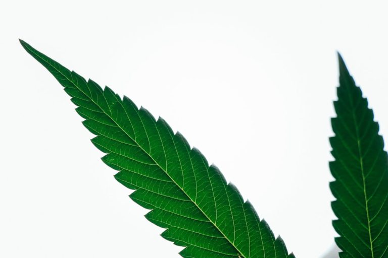 Oxford Cannabis Shop Online – Buy Weed in Oxford