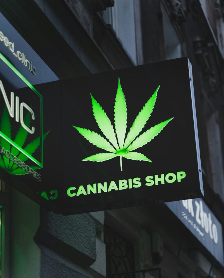 Krakow Cannabis Shop: Your Guide to High‑Quality THC Cannabis