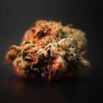 Leuven Cannabis Shop img-2121.jpg