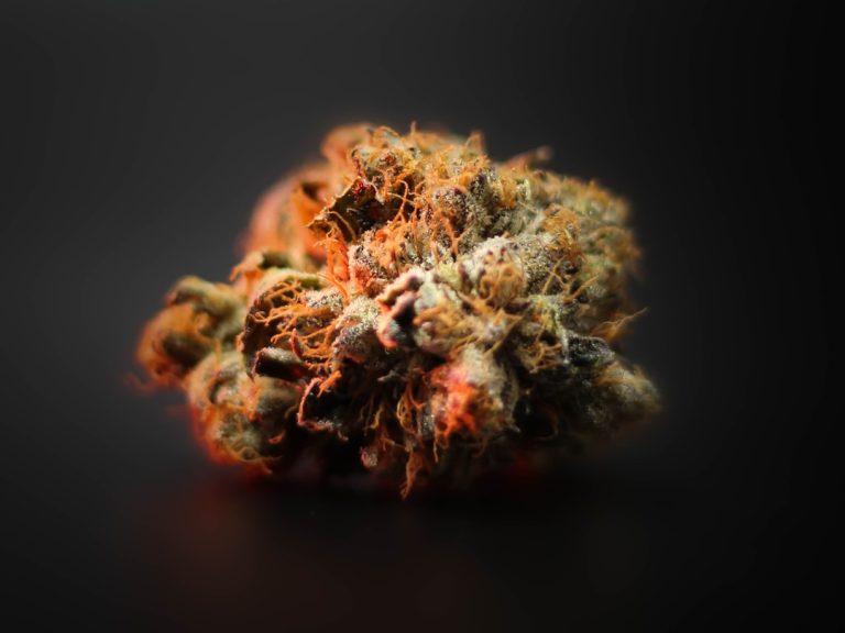 Leuven Cannabis Shop