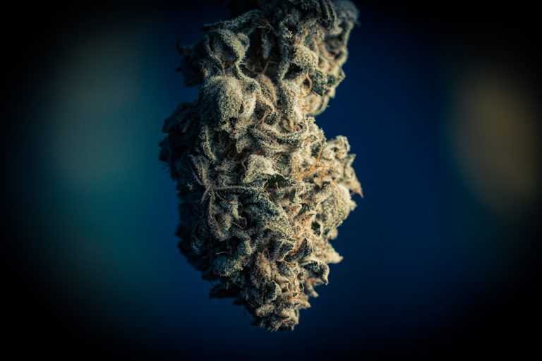 Manchester Cannabis 420 Store