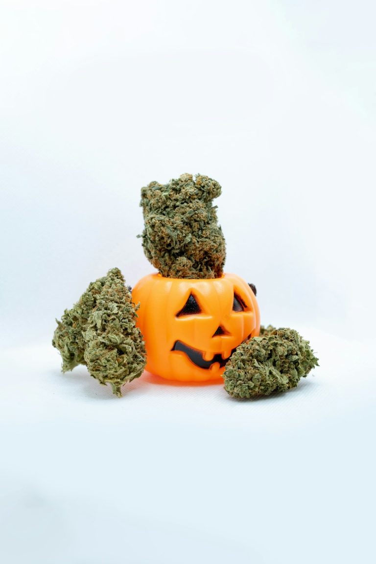 Welcome to the heart of the Turin cannabis scene