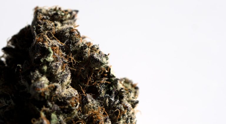 Espoo, the vibrant suburb of Helsinki, has become a focal point for the growing legal cannabis market in Finland