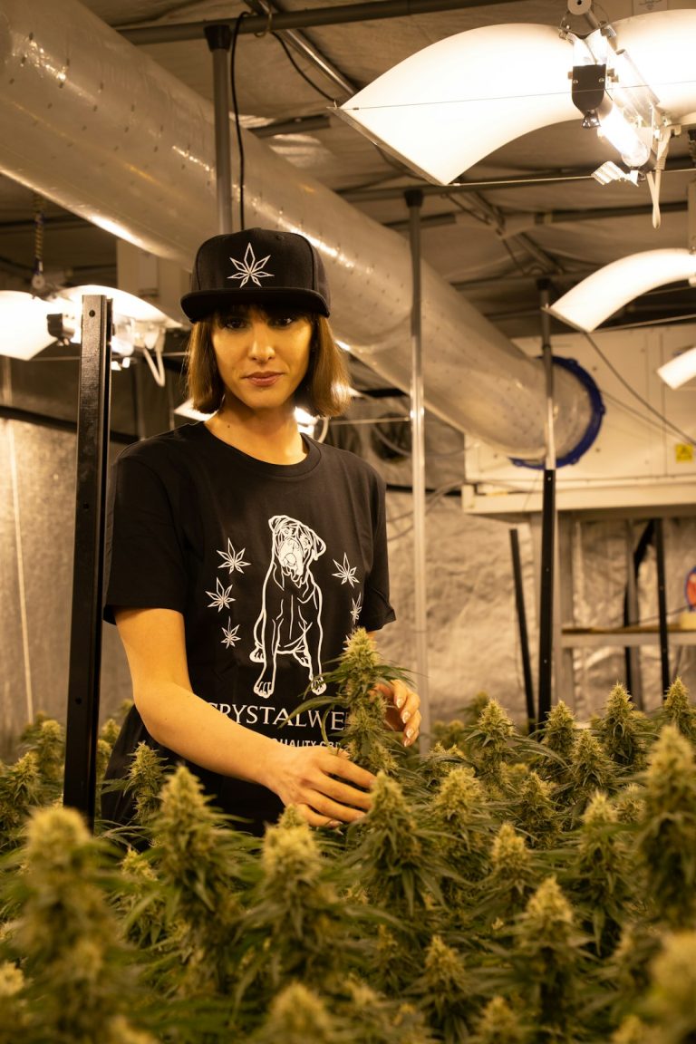 Looking for the best THC vape in Lodz?