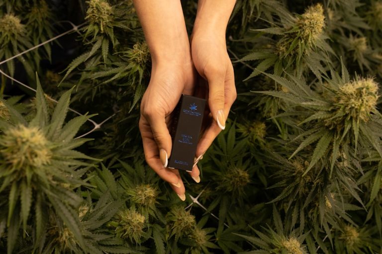THC Vape Warsaw