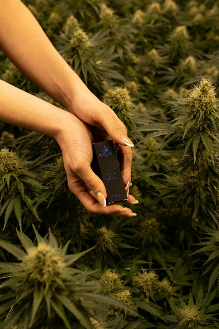 Buy THC Cannabis in Bilbao: Legal, Affordable, Fast Delivery