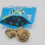 Rome THC Vape Shop img-2308.jpg