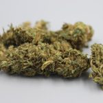 Buying Marijuana in Turin: A Comprehensive Guide img-2346.jpg