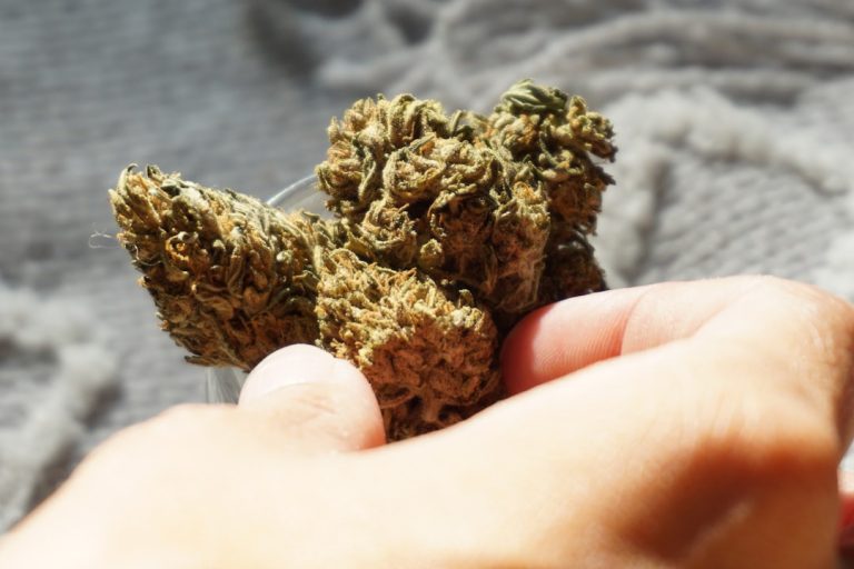 Weed Delivery Thessaloniki