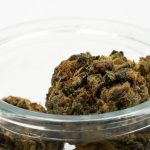 Looking for high‑quality THC vape products in Estonia? img-2366.jpg