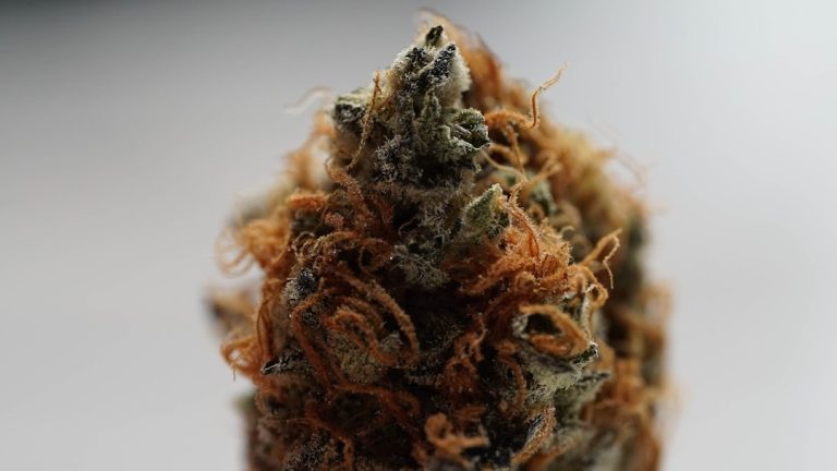 Leipzig Cannabis Delivery Service