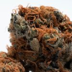 Szeged Cannabis Delivery img-2382.jpg