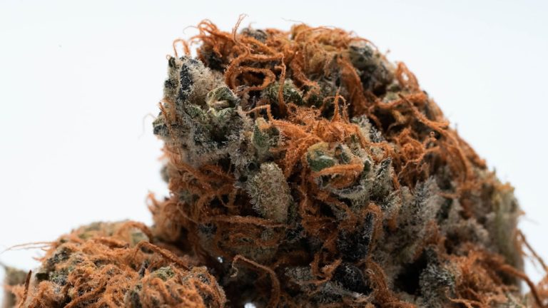 Szeged Cannabis Delivery