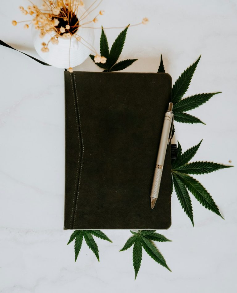 Gent (or Ghent) is a bustling university town in the heart of Belgium, known for its historic architecture, lively nightlife, and an emerging cannabis culture.