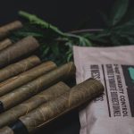 Leuven, the vibrant university city in Belgium, is quickly becoming a hotspot for cannabis lovers across Europe img-2535.jpg