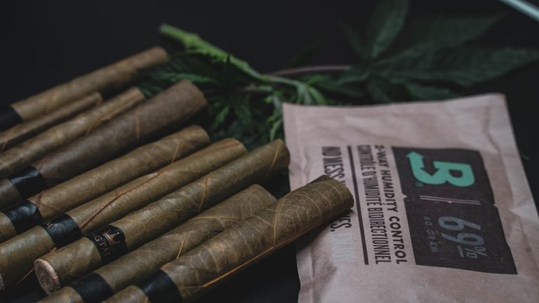 Leuven, the vibrant university city in Belgium, is quickly becoming a hotspot for cannabis lovers across Europe