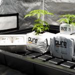 Online Cannabis Delivery Croatia img-2584.jpg