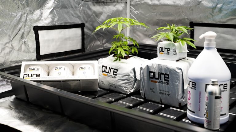 Online Cannabis Delivery Croatia