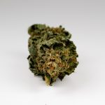Buying Hashish in Genoa A Comprehensive Guide img-2602.jpg