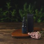 Why Plzen is the Ideal Destination for Cannabis Enthusiasts img-2607.jpg