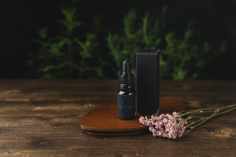 Why Plzen is the Ideal Destination for Cannabis Enthusiasts
