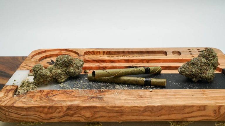 Cannabis Shop Bulgaria: The Premier Destination for Recreational, Medical, and Hemp Products