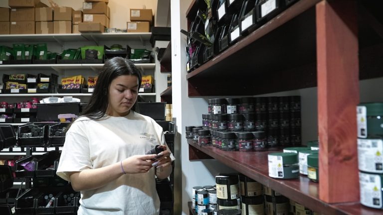 Buying THC Cannabis in Spain A Guide to the Legal Market and Online Shopping